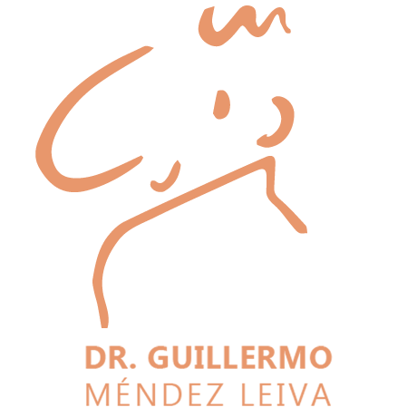 Dr. Guillermo Méndez Leiva 